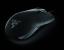 Razer Salmosa