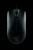 Razer Salmosa