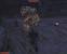 Gothic, 2001, Piranha Bytes