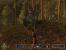 Gothic 3, 2006, Piranha Bytes