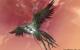 Aion: Tower of Eternity (3)