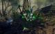 <strong>Crysis Warhead</strong>: Ein neues Alien