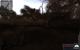 Stalker - Clear Sky DX10 mit einer HD3870 und den Catalysts 8.7/8.8