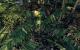 Crysis Warhead, 2008
