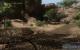 Bilder aus dem Benchmark-Tool (1)