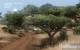 Szene aus dem Far Cry 2 Benchmark