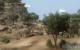 Szene aus dem Far Cry 2 Benchmark