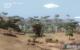 Szene aus dem Far Cry 2 Benchmark