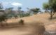 Szene aus dem Far Cry 2 Benchmark