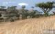Szene aus dem Far Cry 2 Benchmark