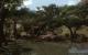 Szene aus dem Far Cry 2 Benchmark