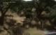 Szene aus dem Far Cry 2 Benchmark