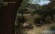 Szene aus dem Far Cry 2 Benchmark
