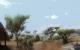 Szene aus dem Far Cry 2 Benchmark