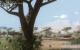 Szene aus dem Far Cry 2 Benchmark