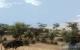 Szene aus dem Far Cry 2 Benchmark