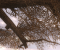 4x Transparenz-AA DX10.1