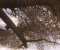 4x Transparenz-AA DX10
