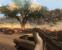 Eine heiße Sache: die Flammensimulation in Far Cry 2.
