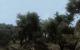 Far Cry 2: Eines der Spiele, das Probleme unter Windows 7 macht (4)