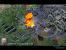 Die wilden Neunziger, 1996: Fire Fight (Bild: Mobygames.com)
