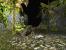 Die wilden Neunziger, 1996: Tomb Raider (Bild: Mobygames.com)