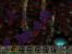 Die wilden Neunziger, 1999: Planescape Torment (Bild: Mobygames.com)