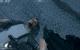James Bond 007 – Ein Quantum Trost (PCGH)