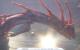 3DMark06 mit 32xS + TSSAA/16:1 HQ-AF