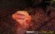 3DMark2001SE mit 32xS/16:1 HQ-AF (9)
