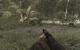 Call of Duty 5 World at War: Texturauflösung Extra