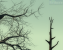 Fallout 3: TAA, Radeon