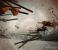 Left 4 Dead: Hohe Effektdetails
