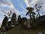 The Elder Scrolls III - Morrowind: Wunderschöne Landschaften