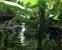 Crysis-Screenshot-Wettbewerb mit Nvidia und MSI