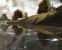 Der Herr der Ringe online (8)