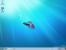 Windows 7 Beta (32)