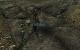 Fallout 3: Benchmark-Test mit dem HD-Texture-Pack (4)