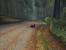 Need for Speed: Porsche mit 4x SGSSAA @ Voodoo5 6000 (36)