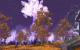 Geforce GTX 470 und 480 im Test mit World of Warcraft (5)