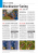 PCGH 1/2005 Seite (2) (96)