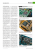 PCGH 1/2005 Seite (2) (127)