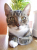 Userbilder Roccat Kone (1)