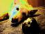Userbilder Roccat Kone (9)