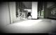 Mirror's Edge: Physx-Effekte im Test