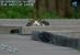Userbilder Roccat Kone (30)