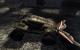Unreal Engine 3 in Perfektion: Unreal Tournament 3 (36)