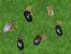 Userbilder Roccat Kone (22)