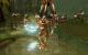 Dawn of War II (17)