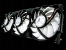 Arctic Cooling Accelero Xtreme 4870 X2